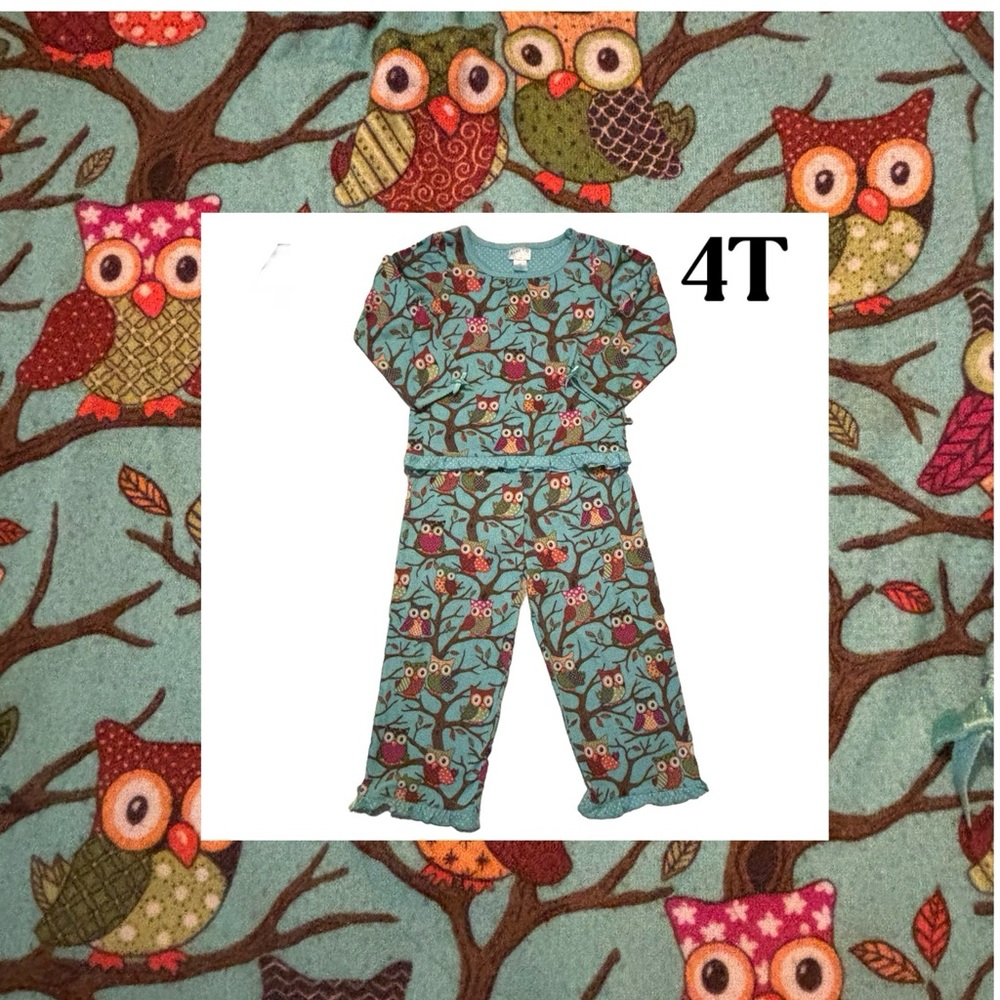 Nick & Nora 4T FLAME RESISTANT 2 Piece Pajamas Owls Long pants & Button up top